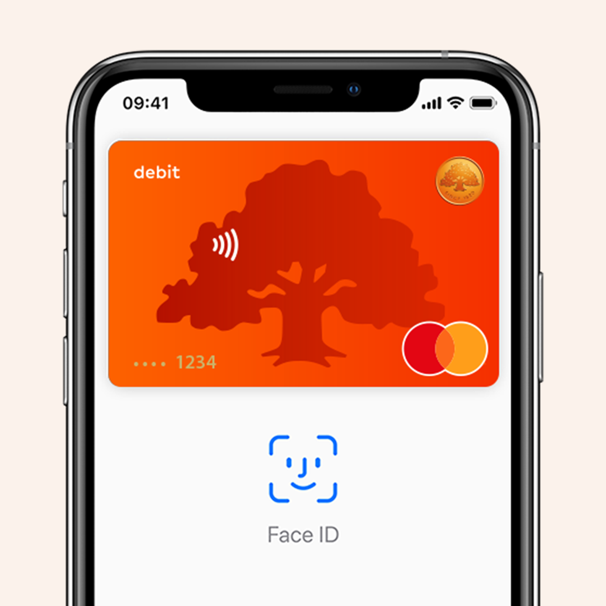 Как пользоваться apple pay на iphone se